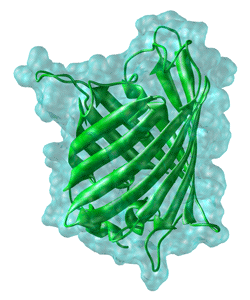 2005 No. 0314 