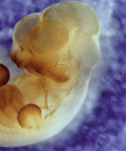 2006 No. 0328 