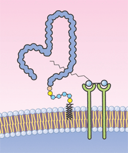 2006 No. 0329 