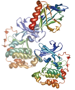 2006 No. 0352 