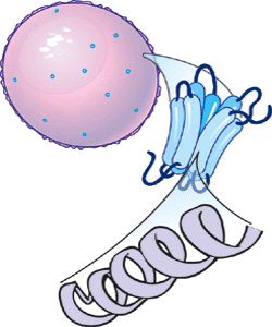 2007 No. 0388 