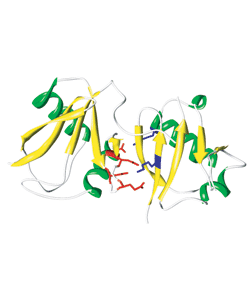 2007 No. 0401 