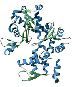 2007 No. 0404 