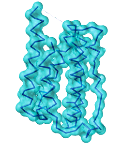 2007 No. 0405 