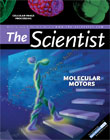 2004 No. 05 