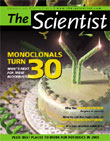 2005 No. 03 