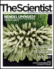 2008 No. 02 