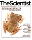 2008 No. 03 
