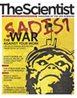 2008 No. 04 