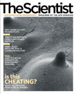 2008 No. 07 