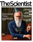 2009 No. 01 