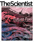 2009 No. 02 
