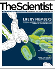 2009 No. 03 