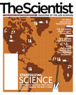 2009 No. 05 