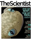 2009 No. 08 