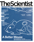 2010 No. 04 