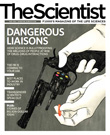 2010 No. 05 