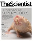 2012 No. 06 